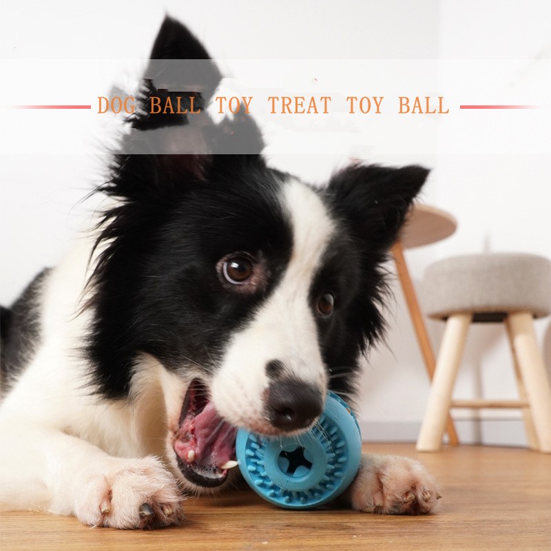 Custom Rubber Dog Ball