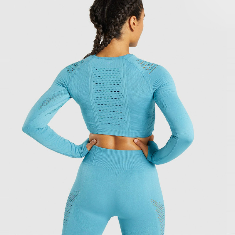 2 Piece Women Sport Suit Seamless Leggings+Cropped Shirts Gym Clothing Workout Yoga Set Female Long Sleeve Fitness Set Tracksuit