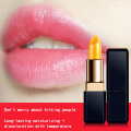 Professional Temperature Change Color Lipstick Moisturizer Nutritious Long Lasting Waterproof Makeup Lip Balm