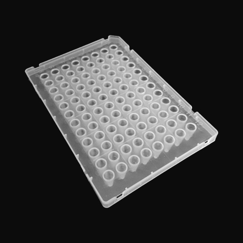 Best 0.1ml 96-Well PCR plate Skirt suitable for ABI Manufacturer 0.1ml 96-Well PCR plate Skirt suitable for ABI from China