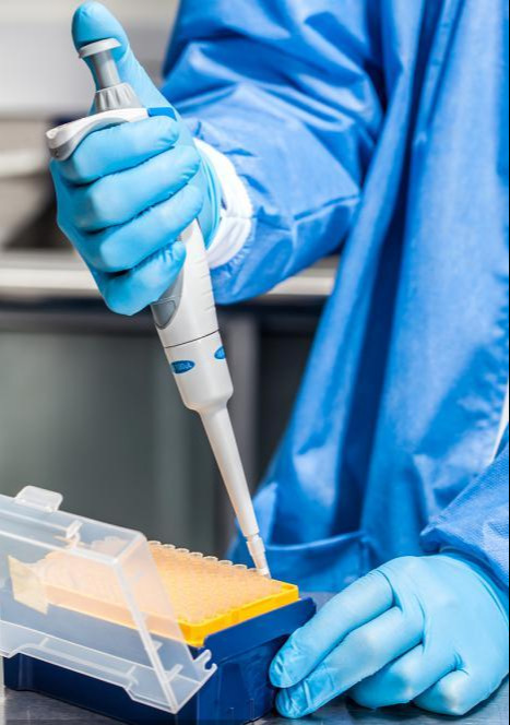 pipette tips