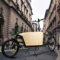 High Quality Cargo Bike 250w City Bicycle Ecargo