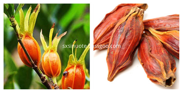 Fructus Gardeniae Extract