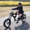 Newest fashional type chopper bicycle