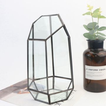 9.4in Height Indoor Tabletop Irregular Glass Geometric Air Plants Terrarium Box