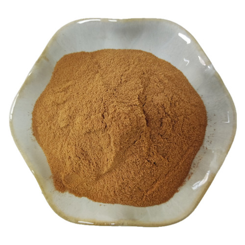 Hot Sale Semen Torreyae Extract Powder 20:1 for Sale, Offer Hot Sale Semen Torreyae Extract Powder 20:1