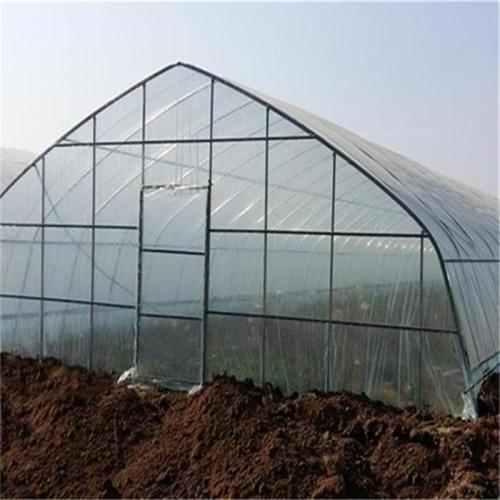 Agriculture Single Tunnel Plastic Film Greenhouse Manufacturers and Agriculture Single Tunnel Plastic Film Greenhouse Suppliers