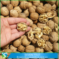 Raw Processing Type and Snack Use Whole Walnuts In Shell