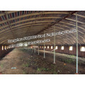 Agriculture Steel Structure Framed Poultry Shed