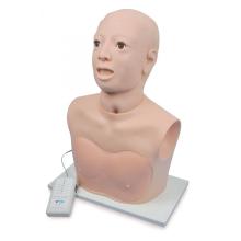 Nasal Cavity Examination Model (Electronic Monitoring)