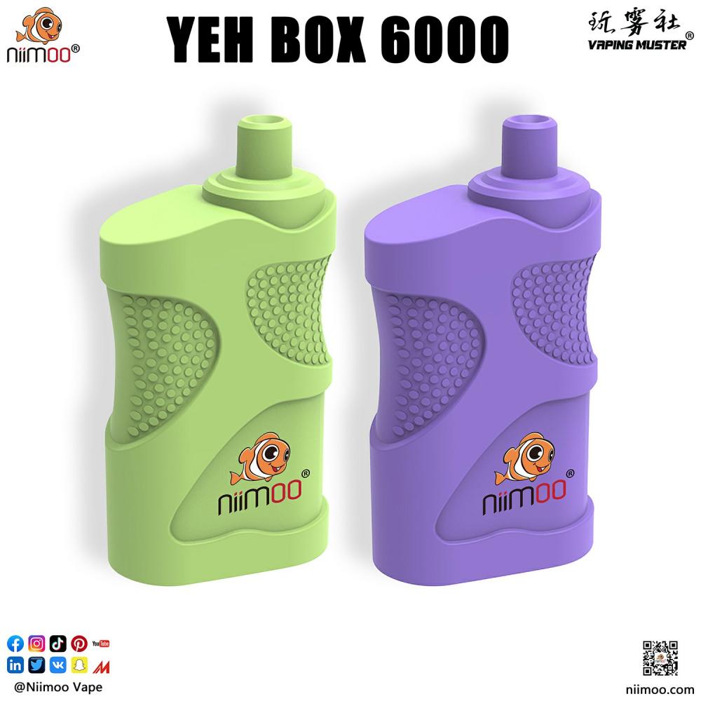 Box E Cigarette 6000 Puffs