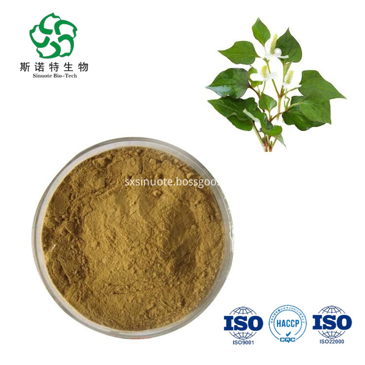 Houttuynia Extract