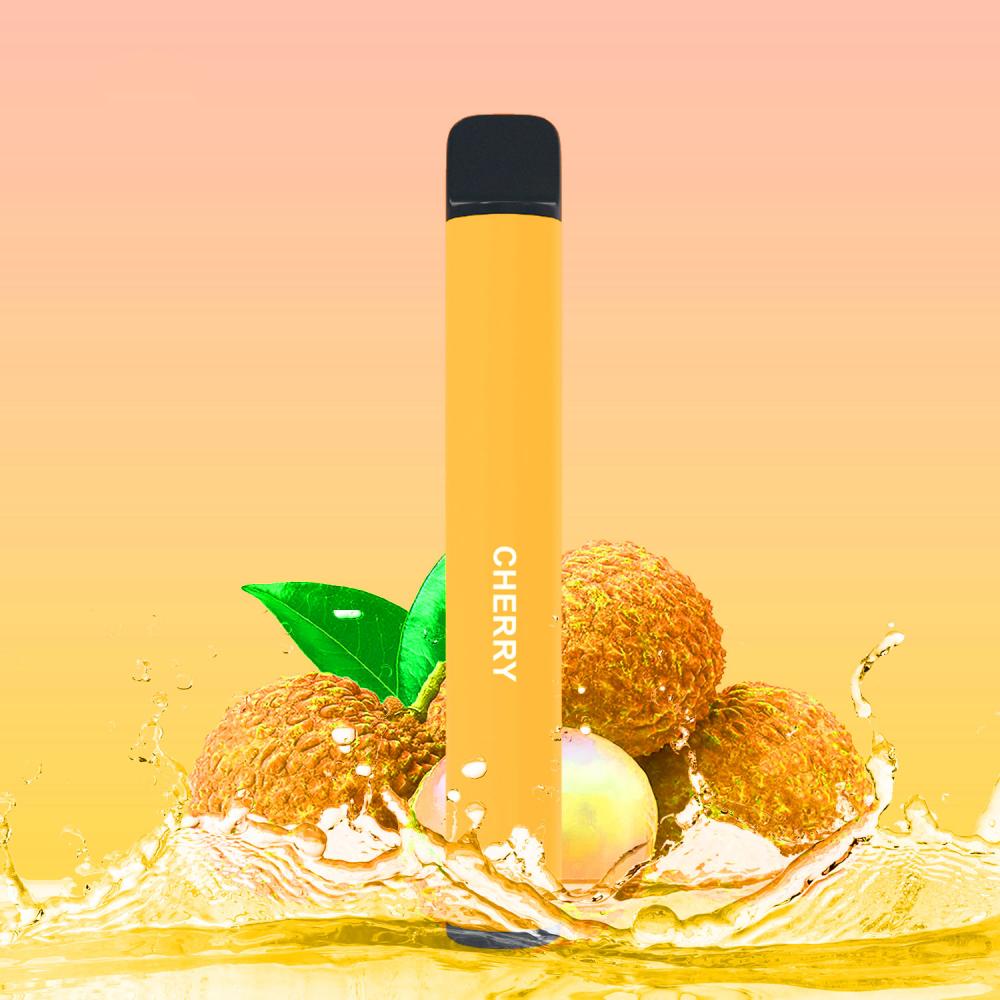 Wpuff 600Puffs Ecig Disposable vape
