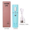 Mini Face Steamer Portable Nano Mist Facial Spa Sprayer USB Hair Steamer Charging Face Spray Instrument Water Moisturizing 40D