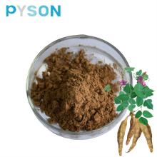 Pueraria Root Extract powder