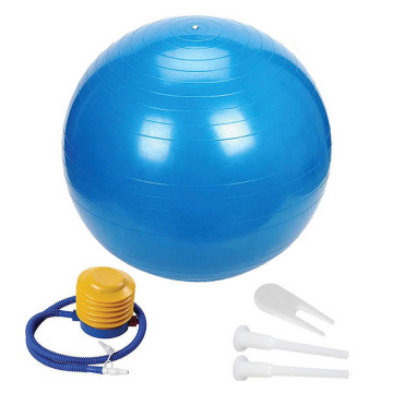 Sports Yoga Balls Balance Bola Pilates Fitness Ball with Pump Anti-Burst & Anti-Slip Gym Exercise Workout Body Building Massage