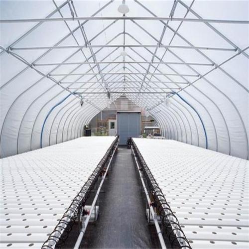 Greenhouse commerical Hydroponics NFT Flat Hydroponics Manufacturers and Greenhouse commerical Hydroponics NFT Flat Hydroponics Suppliers