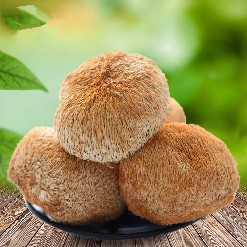 Natural Organic Dried Hericium Erinaceus, Lion Mane, Hericium Erinaceus Mushroom Hericium Erinaceus, Good Quality, Free Delivery