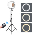 12 Inch Ring Light With Tripod Adjustble 30Cm Ring Led Lamp Usb Charge Selfie 3 Phone Holders Video Lighting Studio Kit