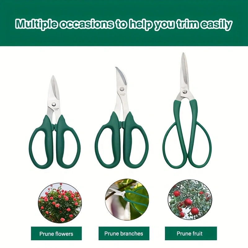 c3beca42c56b0d36172a58c6b9b02d3