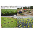 1pc Storage 200 Cell Plant Grow Organic Nursery Pots Multi-Function Plant Propagation Planting Seedings Seedling Tray HOT sale