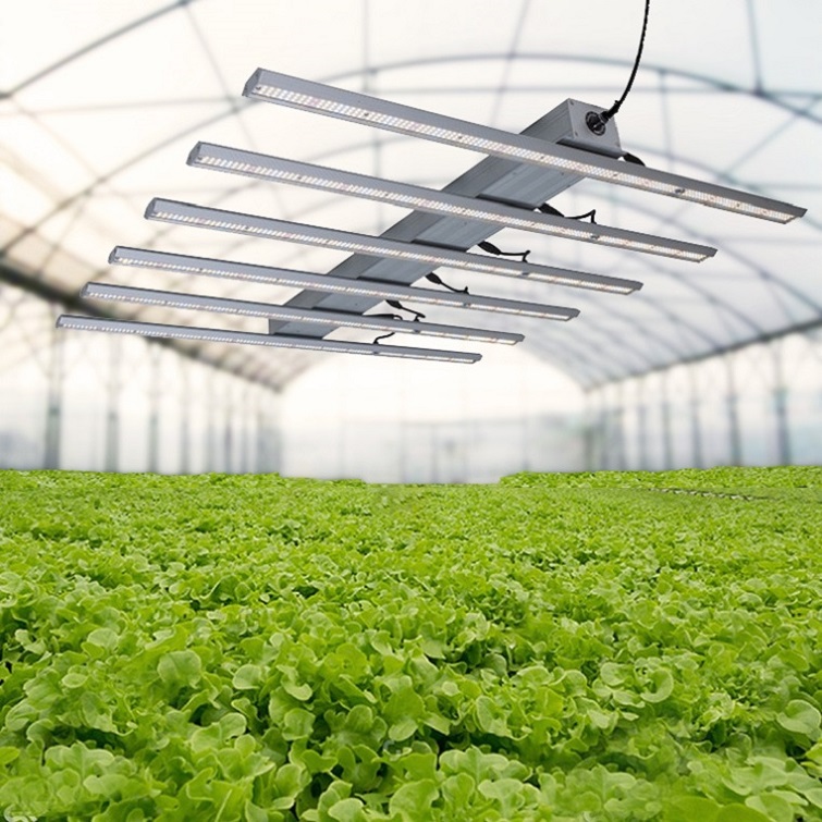 Bars Grow Light Works Well For Growing Plants