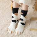 5 pairs of thick women's socks Cute sweet plus velvet cartoon cat paw socks Student college style Coral fleece tube girl sock