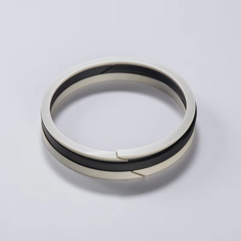 Oil Seal PEEK4
