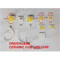 Free shipping 2pcs Chip On Board Driverless Diameter 20MM 12w led chips assembly for led bulb downlights