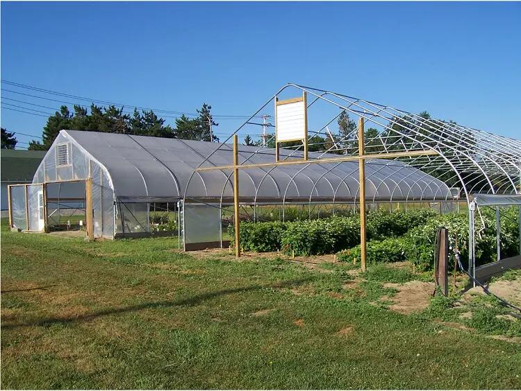Tunnel Plastic Film Greenhouse the cultivation of vegetables