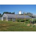 PE Film greenhouse for Agriculture Low cost Tunnel