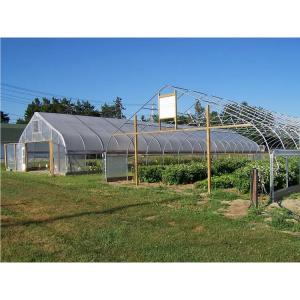 Industrial film greenhouses galvanized steel frame tunnel