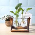 Glass Wood Vase Planter Terrarium Table Desktop Hydroponics Plant Bonsai Flower Pot Hanging Pots with Wooden Tray Home Decor