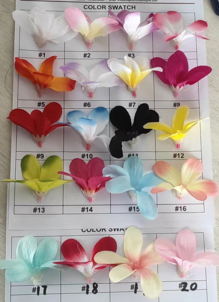 Plumeria Gai