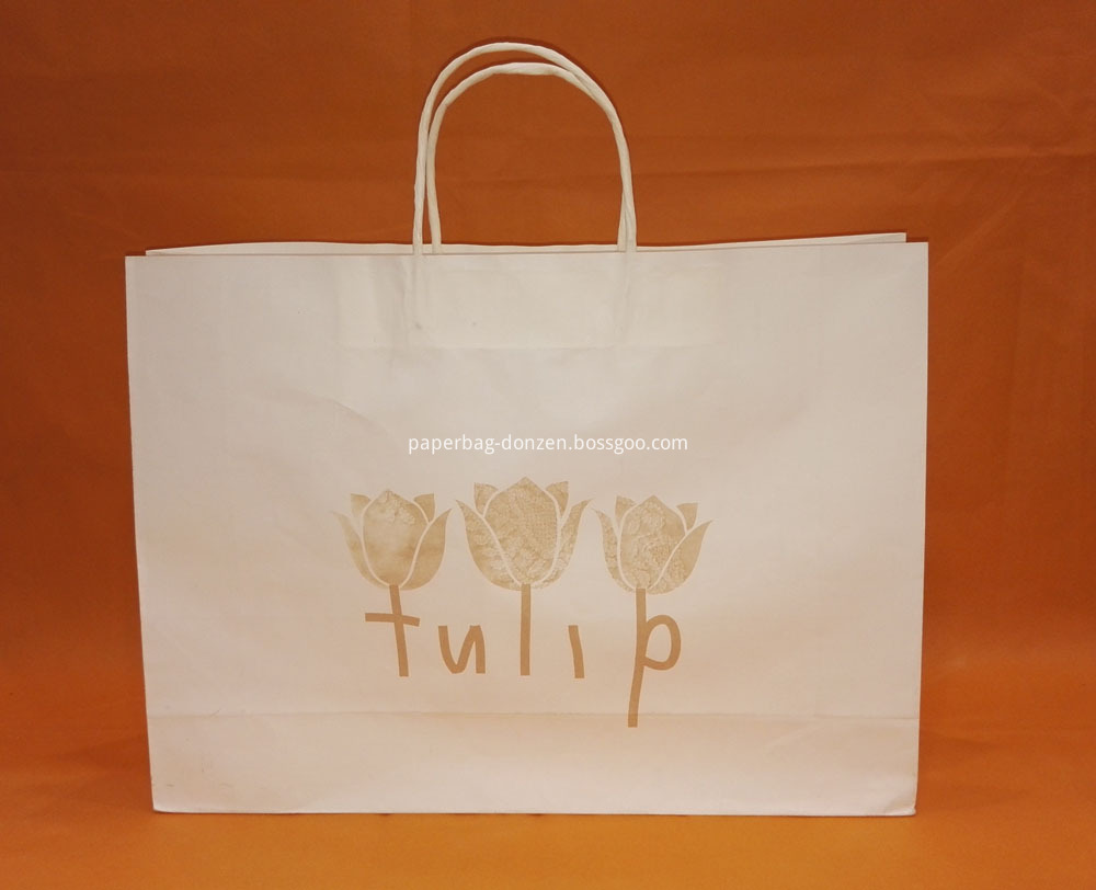 Paper Bag Tulip1