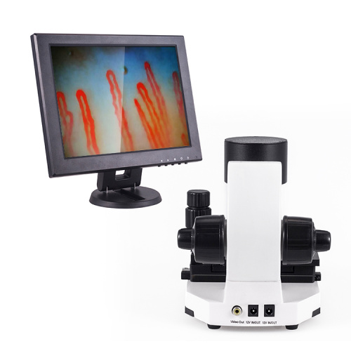 12Inch blood capillary microcirculation microscope for Sale, 12Inch blood capillary microcirculation microscope wholesale From China