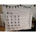 Baby Monthly Growth Milestone Blanket Photography Requirements Background Towel Memory Carpet