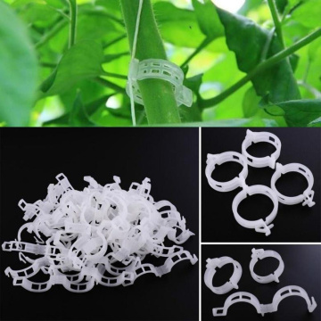 Plastic Plant Support Clips 30/50Pcs Vine Trellis Tomato Stem Vegetable Fixing Clip Garden Greenhouse Accessory Plant Clips