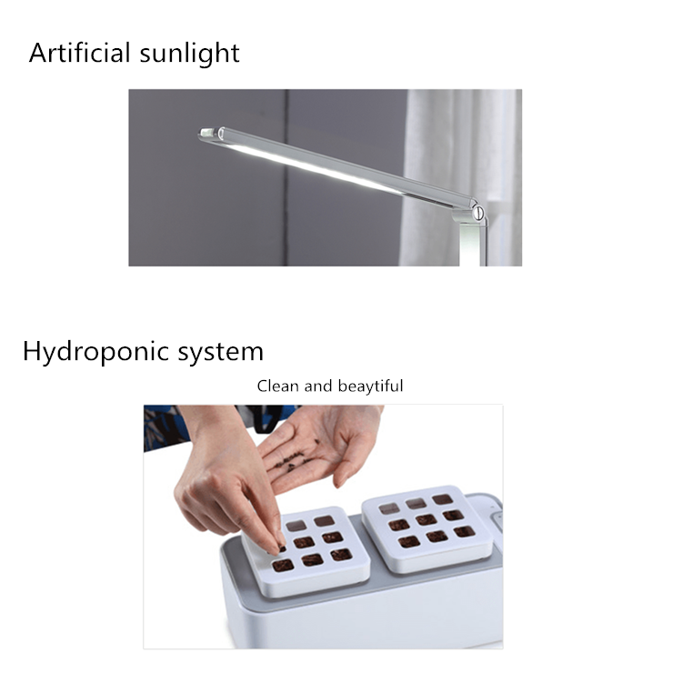 hydroponics 9