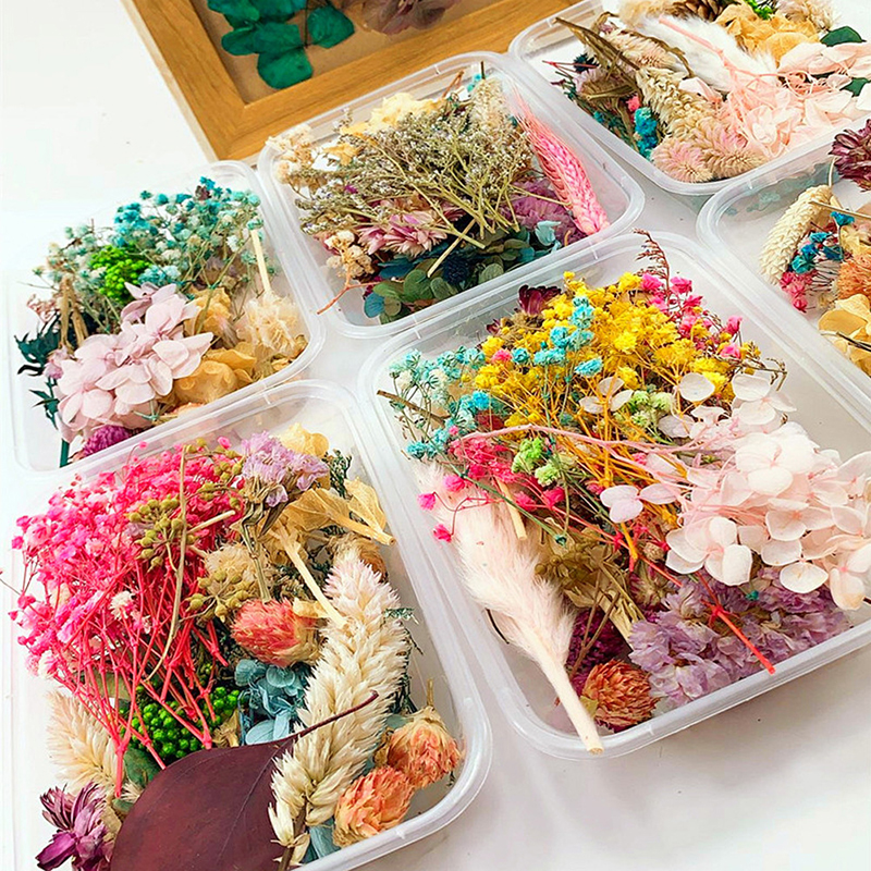 1 Box Real Mix Dried Flower Dry Plants For Art Craft Scrapbooking Resin Pendant Necklace Jewelry Making Craft DIY Accessories