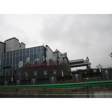 Qihong International Hotel Grid Roof Project