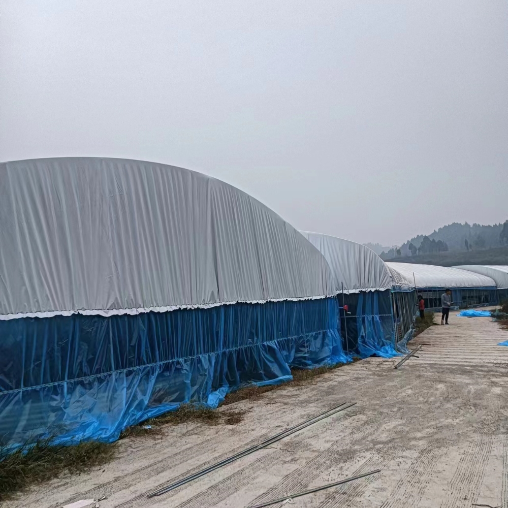 Single Greenhouse For Poultry Breeding