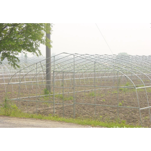 Tunnel Green House Vegetable Tunnel Greenhouse For Tomato