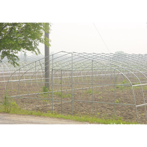 Economical poly tunnel greenhouse for agriculture Manufacturers and Economical poly tunnel greenhouse for agriculture Suppliers