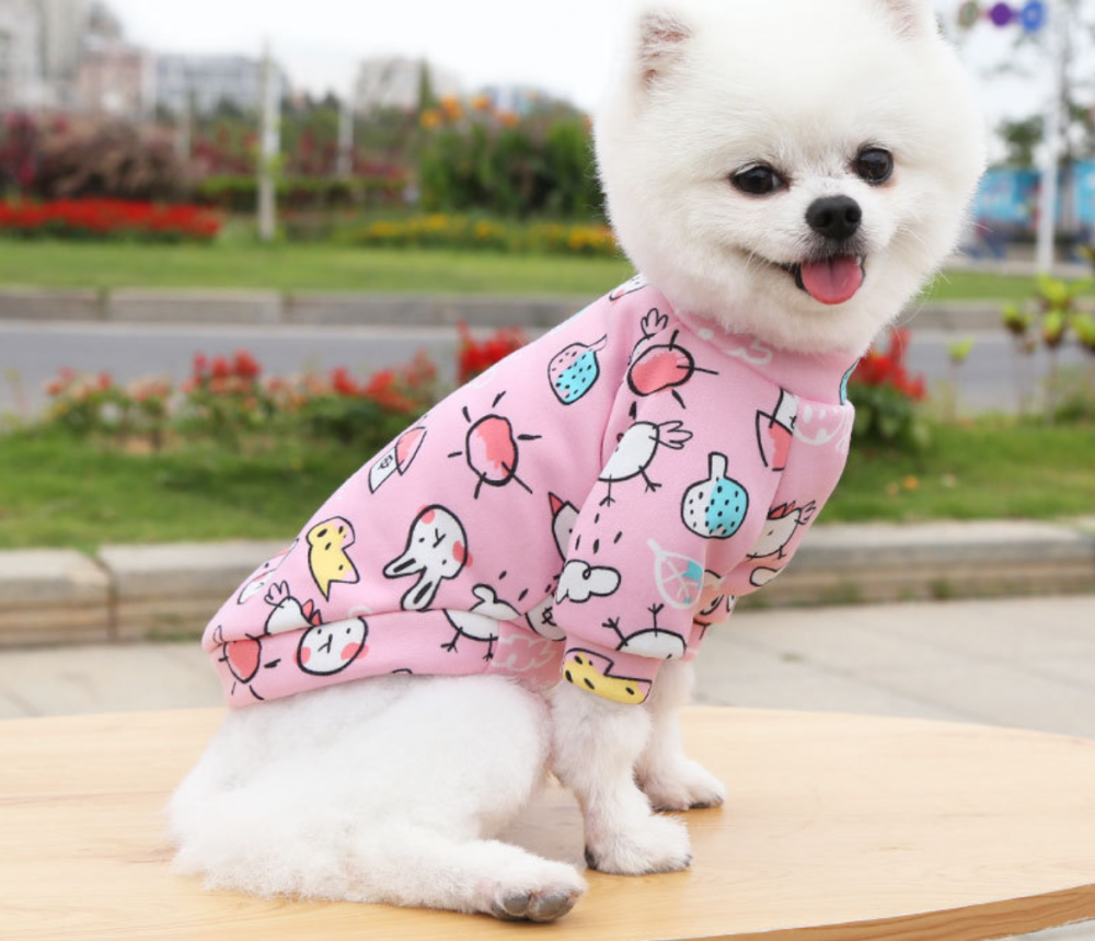 Kawaii Dog Hoodie