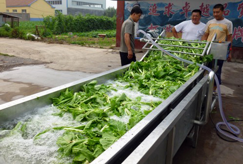 lettuce washing