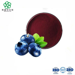 Bilberry Extract Anthocyanidins UV / Anthocyanins HPLC