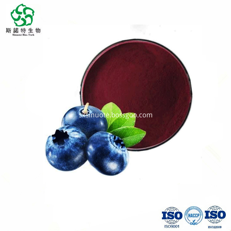 Bilberry Extract