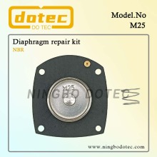 M25 Diaphragm For Turbo Pulse Valve FP25 DP25