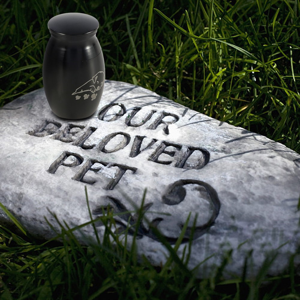 Mini Pet Cremation Urns Pets Dog Cat Birds Mouse Cremation Ashes Urns Jar for Keepsake Casket Columbarium Pets Memorials 25x16mm